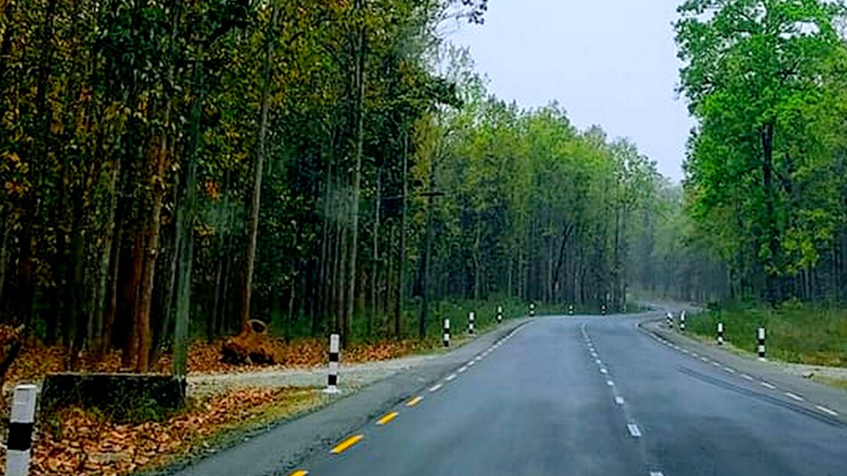 मदन भण्डारी राजमार्ग : सडकको भौतिक प्रगति ४० प्रतिशत